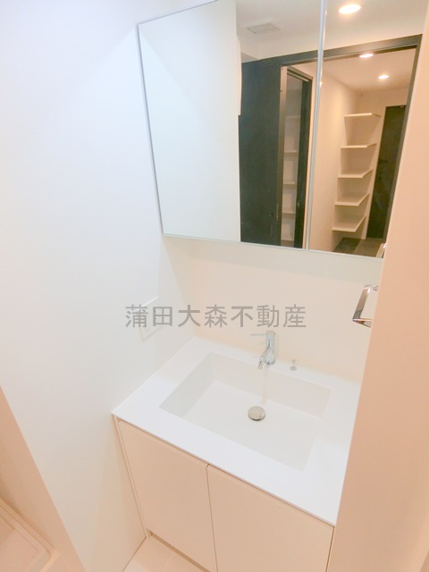 GRAN PASEO大森Ⅱの洗面所