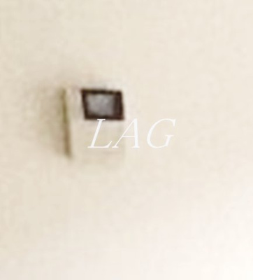 【セキュリティ】 | シャルマン玉学 | モニター付きインターフォンです。