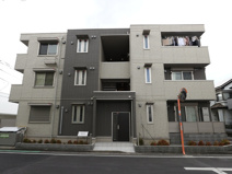 マルベリーの画像