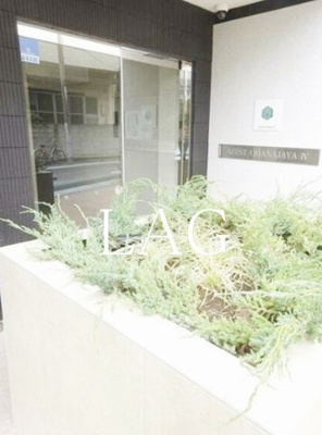 【エントランス】 | ＡＺＥＳＴお花茶屋Ⅳ | エントランスです。