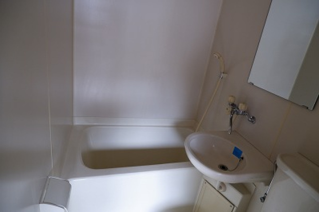 エステート９大州の浴室