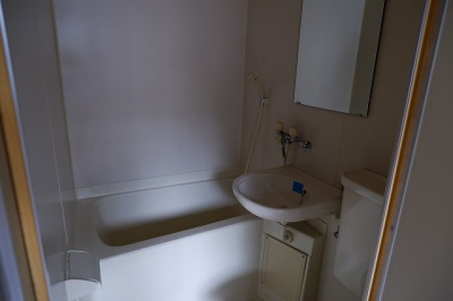 エステート９大州の浴室