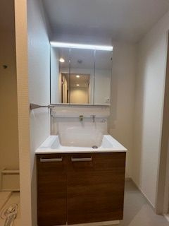 ヴィラ新小岩の独立洗面台