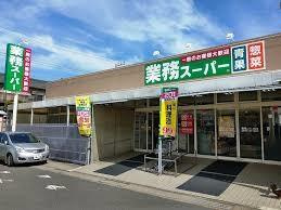 サニーヒルズ　Ｍの周辺|業務スーパー武山店まで1,236ｍ
