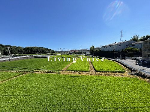 【展望】 | 【仲介手数料０円】藤沢市石川5期　新築一戸建て　2号棟　全3棟 | 藤沢市石川5期　新築一戸建て　全3棟