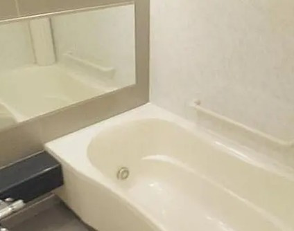 エクセレンシア駒込の浴室