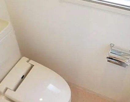 エクセレンシア駒込のトイレ