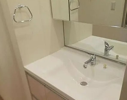 エクセレンシア駒込の洗面所