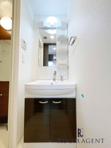 エステムコート名古屋金山ミッドクロスの洗面所