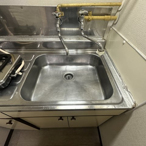 グリーンハイツＥＭＵの洗面所