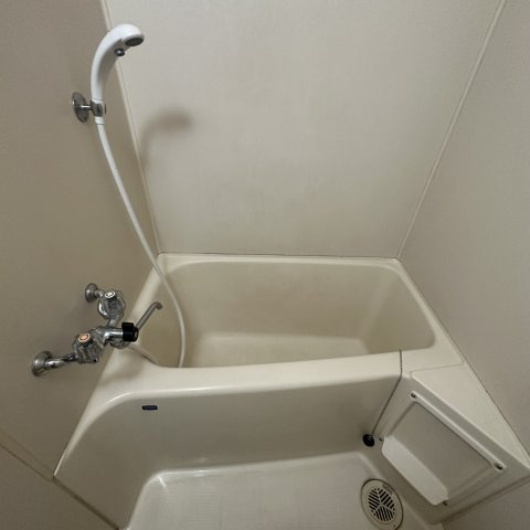 グリーンハイツＥＭＵの浴室