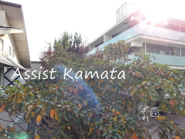 ネオ・デジャヴの展望