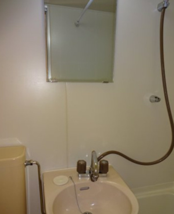 ホーユウコンフォルト宝殿の洗面所