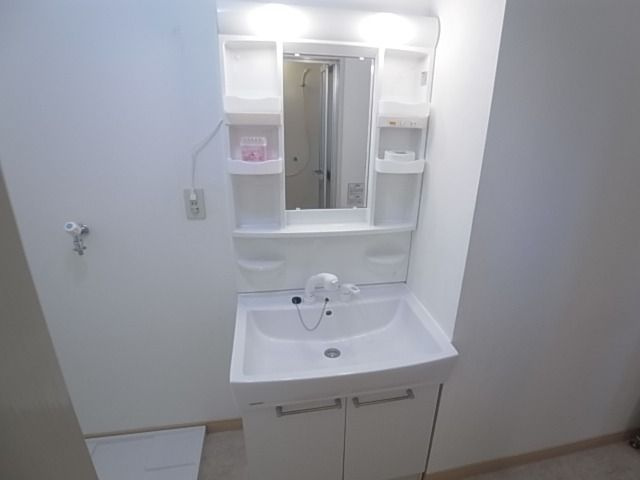 グリーンコーポの洗面所