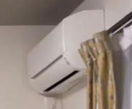 ＩＫＵ　ＬＡＮＤ　ＫＯＩＷＡのその他