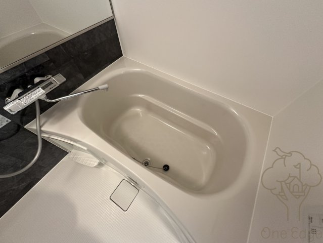 ルフォンプログレ南森町の浴室