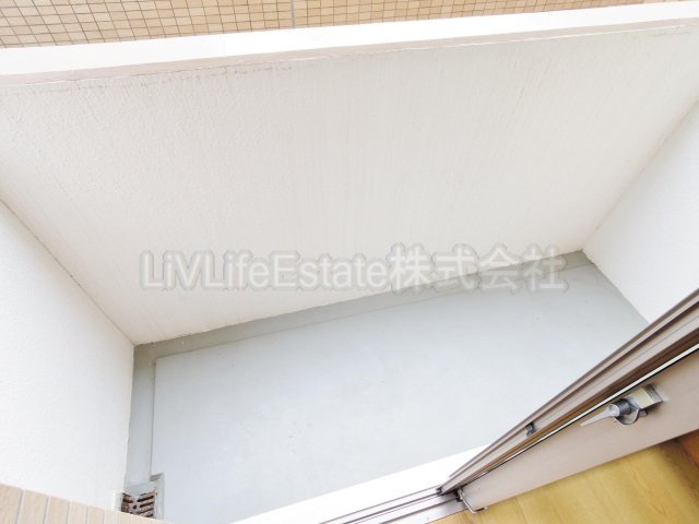 ブルーベリープレイス