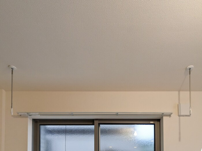 Paul Maisonのその他