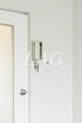 【セキュリティ】 | ジョイフル相模原 | インターフォンです。