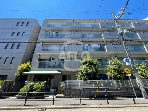 アドニス　山之内小学校