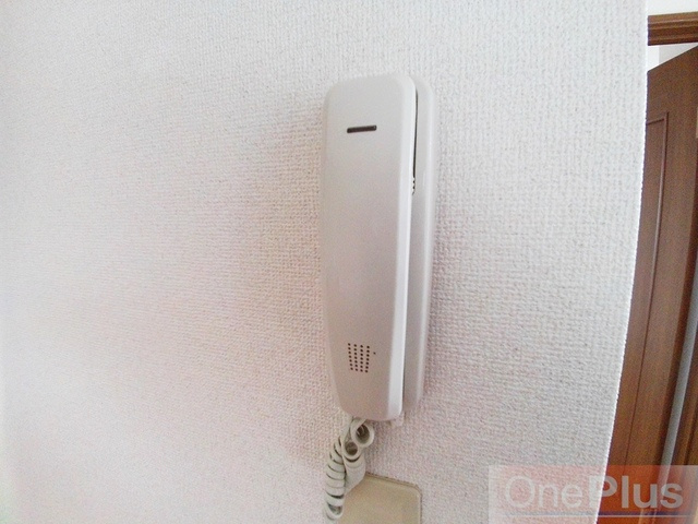 橋本ハイツ（青谷町）のセキュリティ
