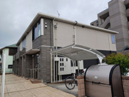 アリエッタの画像