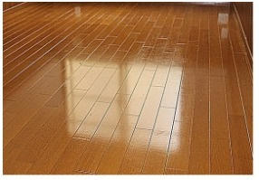 アーバンプレイス沼袋Ⅲの居間・リビング|洋室☆光沢フローリング☆（同一仕様写真）