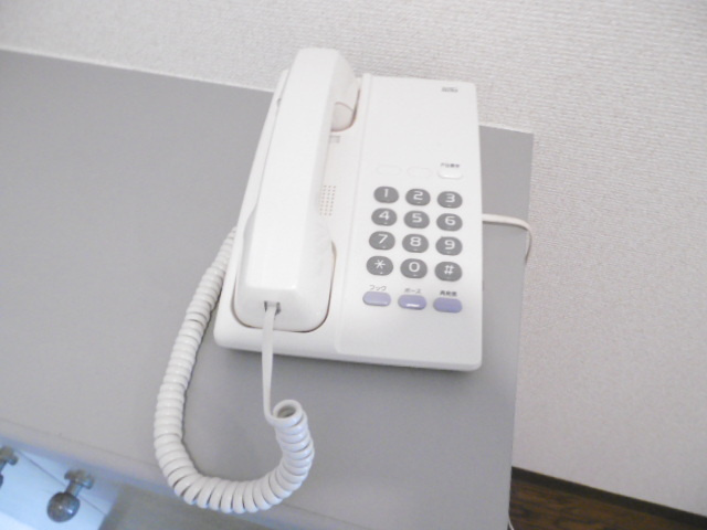 Ｂｉｇ　Ｔｈｒｏｕｇｈの設備|インターフォン