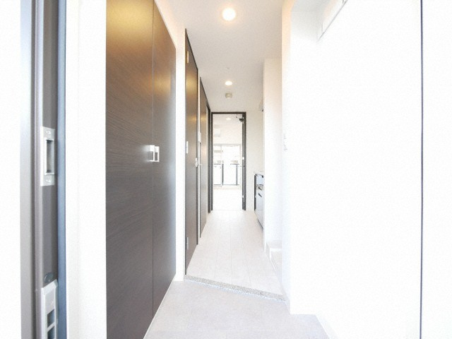 エステムコート難波サウスプレイスⅥラグジーの玄関