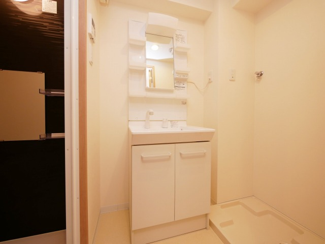 グランパシフィック恵美須西の洗面所