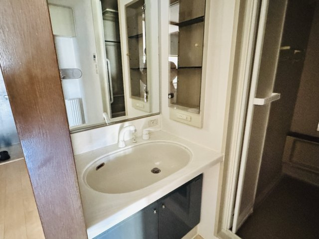 ビッグヴァン京王堀之内弐番館の独立洗面台|～シャワー付きの独立洗面台～