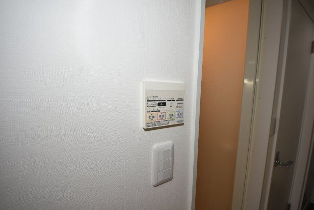 フェリカ