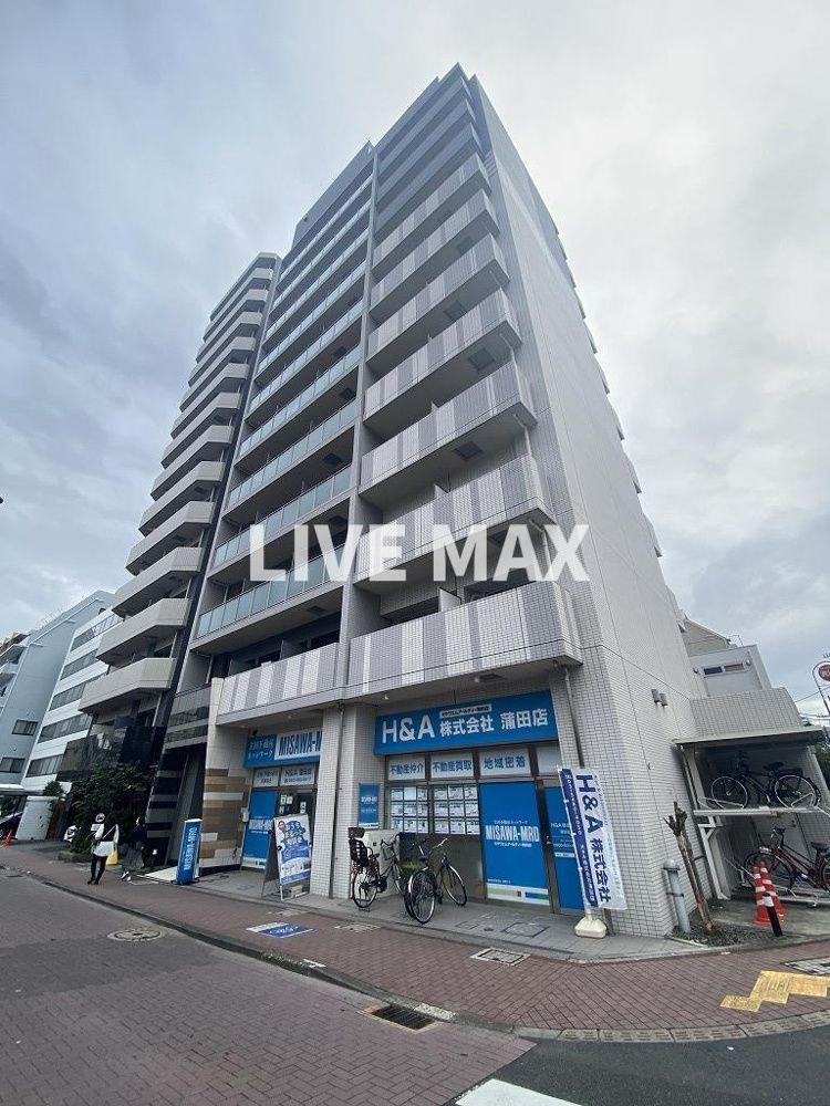 アルテシモレガの画像