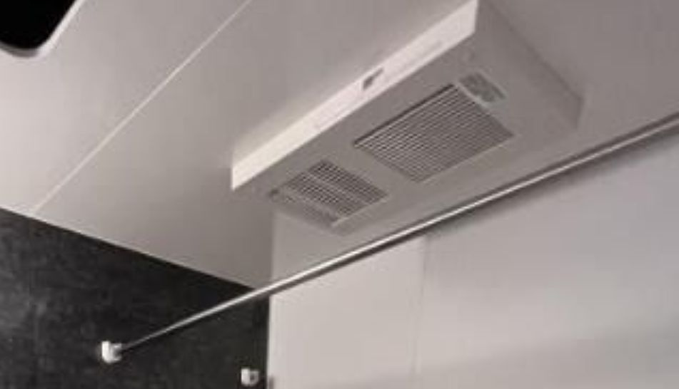 Ｔｈｅｉｏｓ　ｆｉｌｉａ（テイオス　フィリア）のその他