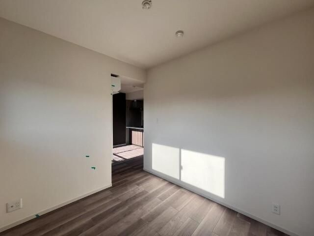 Ｔｈｅｉｏｓ　ｆｉｌｉａ（テイオス　フィリア）のその他