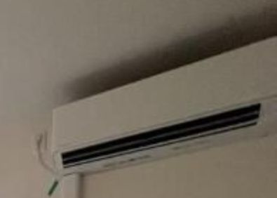 Ｔｈｅｉｏｓ　ｆｉｌｉａ（テイオス　フィリア）の設備