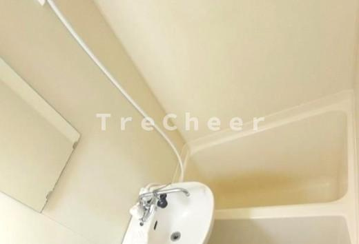 アクチュエールホシノのその他