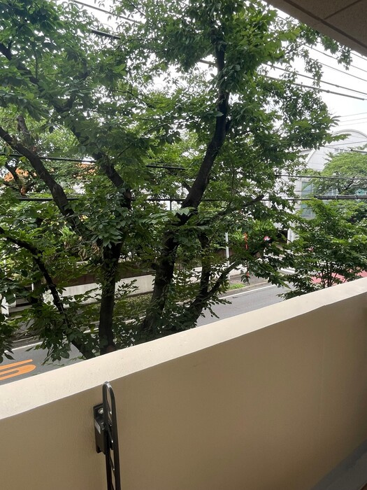 Cozy Court 大泉学園の展望