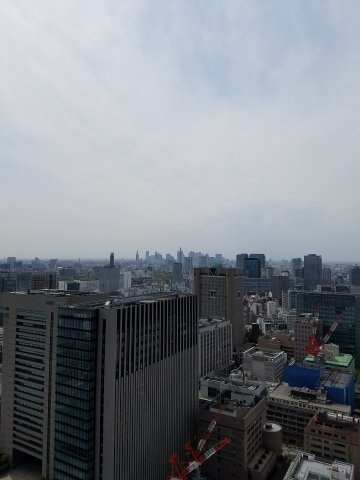 ワテラスタワーレジデンスの展望