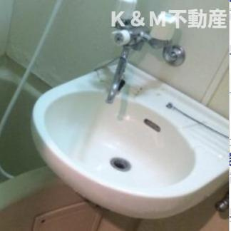 リリックハウスの洗面所|広い洗面スペース