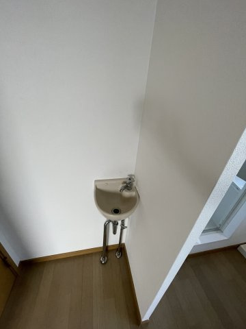 ハネオカハイツの洗面所