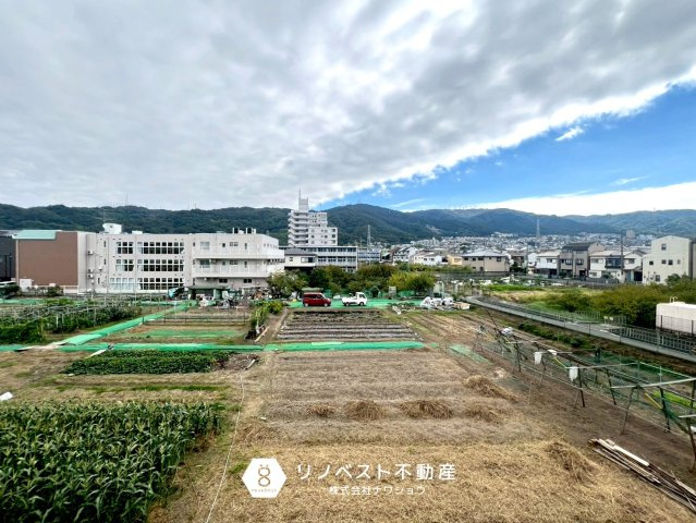 東大阪市日下町5丁目の展望|バルコニーからの眺望は緑が広がっております♪空気が気持ち良いです◎