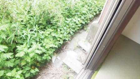 グリーンハイツのバルコニー|日当り良好バルコニー