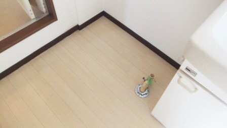 グリーンハイツのその他|室内洗濯機置場