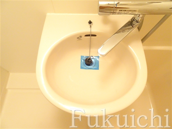 ルーブル学芸大学六番館の洗面所