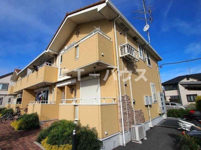 Ｒｅｆｉｎｏ（レフィーノ）