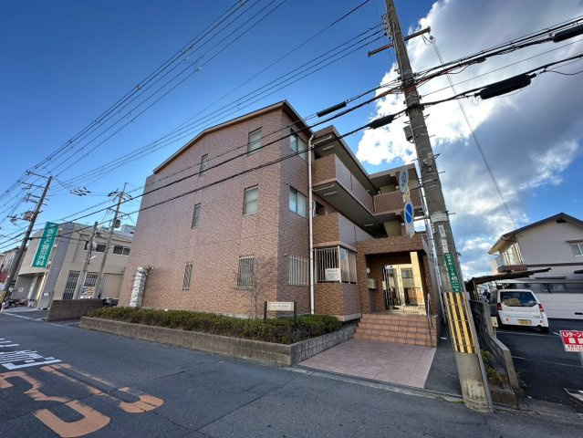 アムールカセイの外観