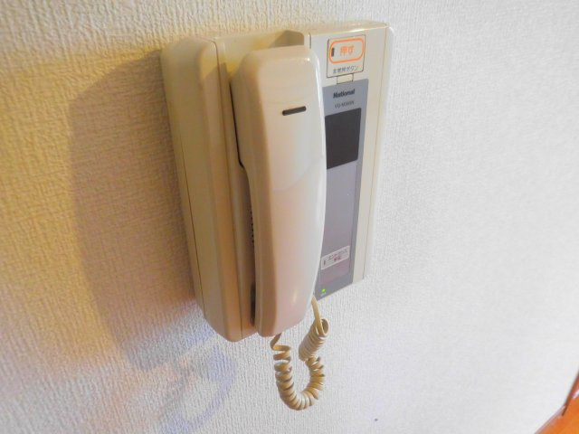 アムールカセイのセキュリティ