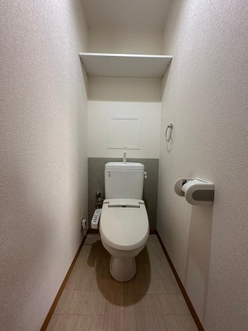 アムールカセイのトイレ