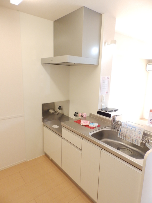 ダルメシアンハウスのキッチン